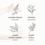 NEEDLY Daily Toner Pad 310g (Pack of 80)